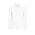 shirt regular/men