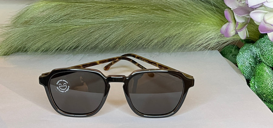 BLACK TORTOISE