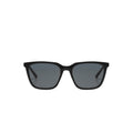 Jay Black Tortoise