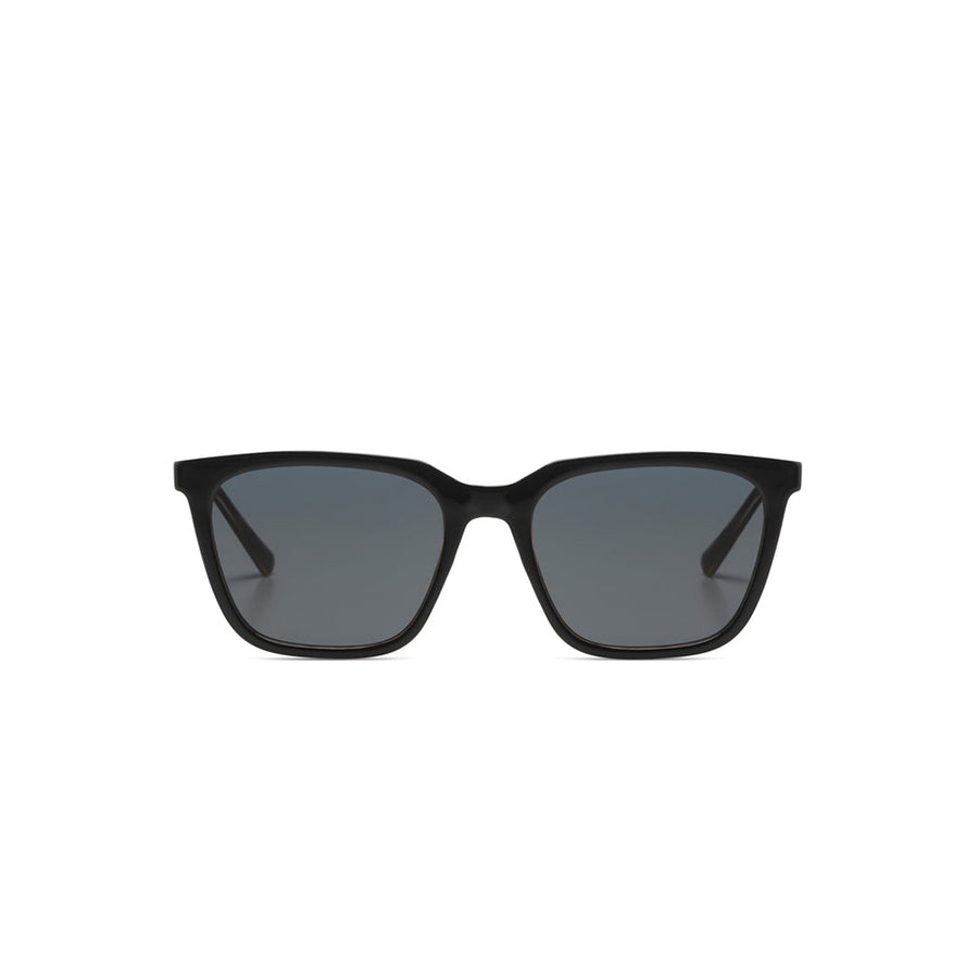 Jay Black Tortoise